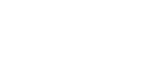 Niche Bazaars